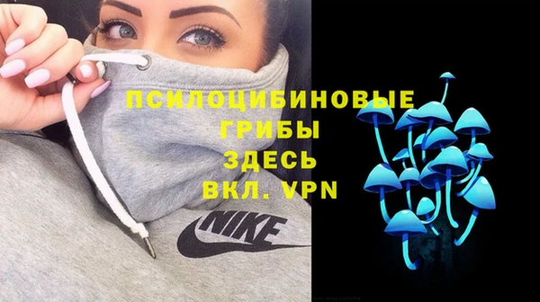 MDMA Premium VHQ Аркадак