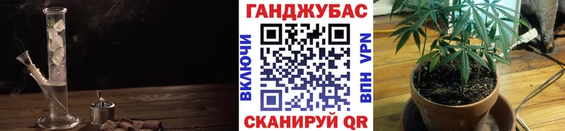 купить наркоту  OMG   Канабис план  Североморск 